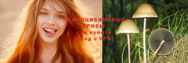 молекула духа Покровск