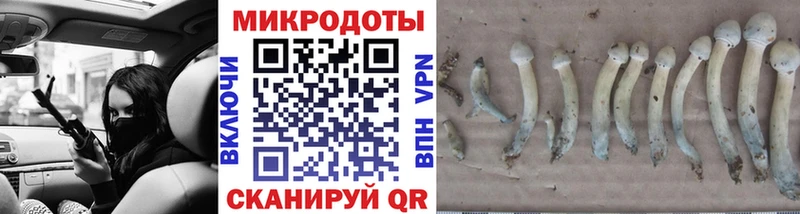 Галлюциногенные грибы мицелий  Яхрома 